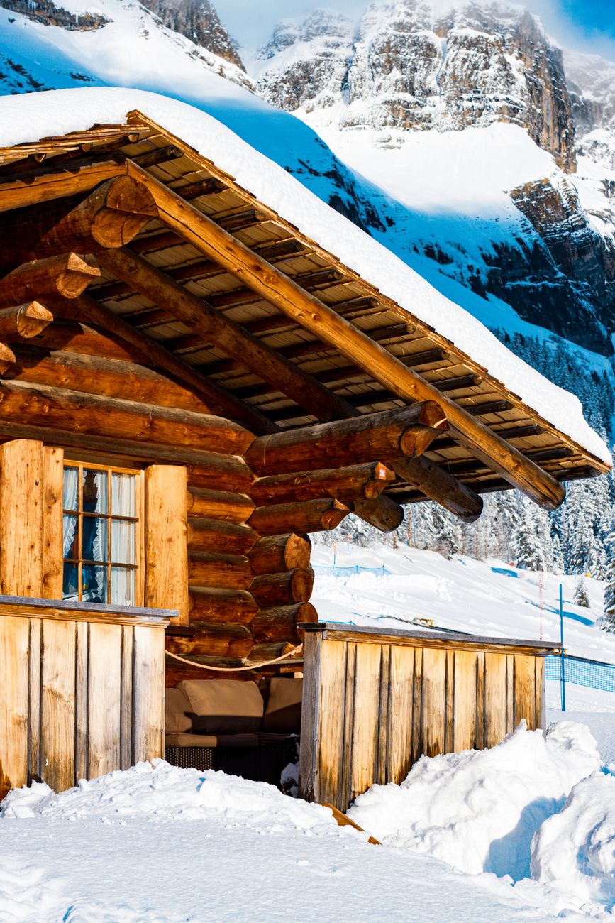 Cozy alpine wooden cabin surrounded by pine trees